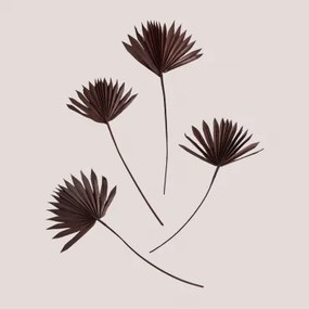 Set Van 4 Decoratieve Gedroogde Takken Urpek Bruin – Koffie - Sklum
