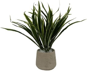 Dracaena Reflexa Kunstplant - 35 cm