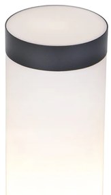 Buitenlamp paal antraciet met opaal 45 cm IP44 - Rox Modern E27 IP44 Buitenverlichting cilinder / rond rond