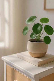 Solany Smalle Ladekast 5 Laden