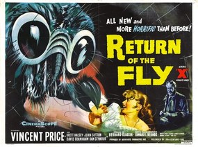 Ilustratie Return Of Fly 03