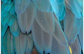 Goossens Schilderij Blue Feathers, 148 x 98 cm