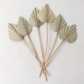 Set Van 6 Gelovige Gedroogde Decoratieve Takken Bamboe Groen - Sklum