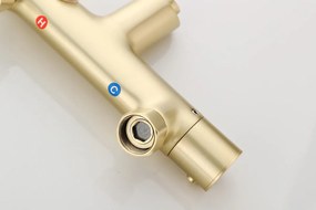 Saniclear Brass Pro thermostatische opbouw badkraan met handdouche geborsteld messing / mat goud