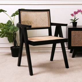 Retro Fauteuil Met Webbing