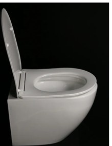 DTG Star randloos toilet met softclose zitting wit glans