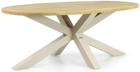 Dining Tuintafel 200 x 110 cm Aluminium/teak Taupe Brookline