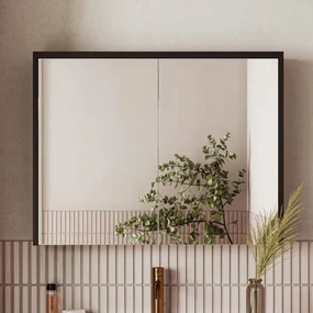 Fontana Basic spiegelkast 80cm met 2 deuren zwart mat