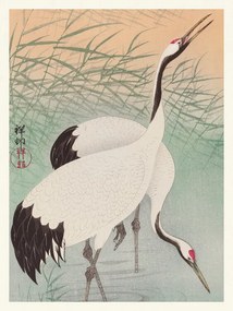Kunstreproductie Two Cranes (Japandi Vintge) - Ohara Koson, (30 x 40 cm)