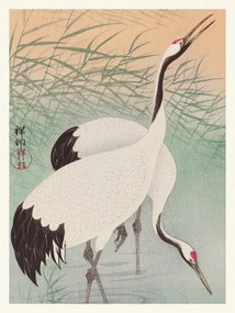 Kunstreproductie Two Cranes, Ohara Koson