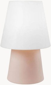 Dimbare in- & outdoor LED decoratieve lamp No. 1