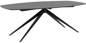 Goossens Excellent Eettafel Uniek, Semi ovaal 260 x 120 cm