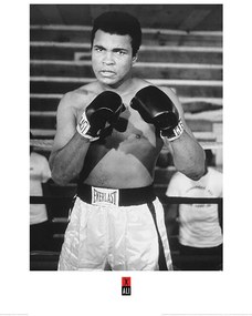 Kunstdruk Muhammad Ali - Pose, (60 x 80 cm)