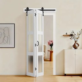 VEVOR Vouwschuifdeur in schuurstijl 914x2134 mm, vouwdeur gemaakt van MDF + gehard glas, inclusief beslag, ruimtebesparend ontwerp, voorgemonteerde panelen voor slaapkamer en woonkamer, wit