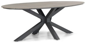 Dining Tuintafel   ellipse  220 x 115 cm Aluminium/polywood Grijs  Matara