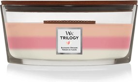 WoodWick geurkaars - Ellipse HearthWick Flame Trilogy - Blooming Orchard