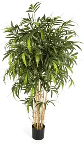 Kunst Bamboe New Naturel - 300 cm