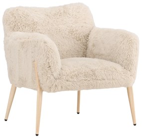 Fauteuil Met Zacht Imitatiebont