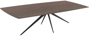 Goossens Excellent Eettafel Uniek, Semi rechthoekig 260 x 100 cm