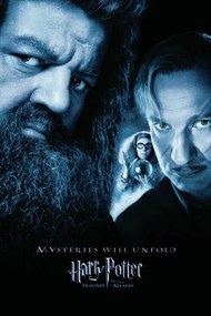 Kunstafdruk Harry Potter - Hagrid & Lupin, (26.7 x 40 cm)
