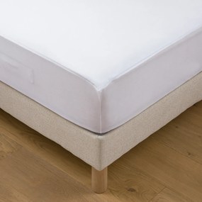 Matrasbeschermer van 100% katoenjersey H22cm