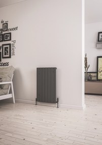 Eastbrook Addington type 10 radiator 80 x 51,4cm 642 watt antraciet