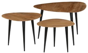 vidaXL 3-delige Salontafelset massief acaciahout