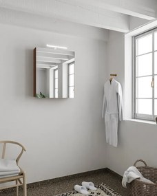 Mondiaz Cubb spiegelkast 50x70x16cm kleur rust met 1 deur