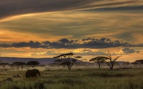 Foto Africa, Amnon Eichelberg, (40 x 24.6 cm)