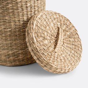 Mand in herbarium, Nove