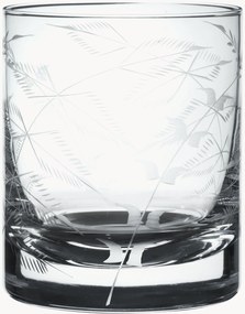 Mondgeblazen kristallen whiskyglazen Fern, 2-delig