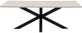 Goossens Eettafel Stone, Rechthoekig 220 x 110 cm