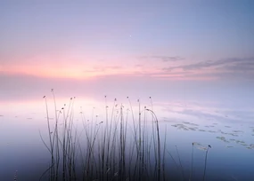 Foto Lake, keller