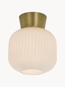 Kleine plafondlamp Vanja