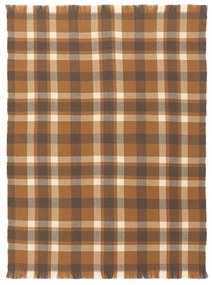 Plaid met ruiten, Vilem