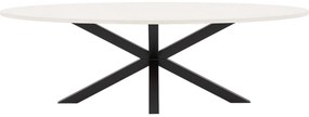 Goossens Eettafel Stone, Ovaal 250 x 120 cm