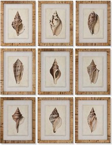 Ingelijste digitale prints Conch, 9-delig