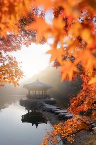 Kunstfotografie Beautiful Autumn scene of Naejangsan national, Twenty47studio, (26.7 x 40 cm)