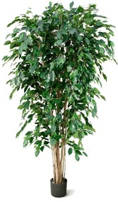 Ficus Benjamina Exotica kunstplant - 180 cm