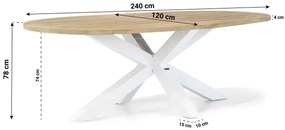Dining Tuintafel ovaal 240 x 120 cm Teak Old teak greywash Bradford