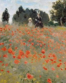 Monet, Claude - Kunstreproductie Poppies, (30 x 40 cm)