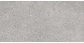 STN Ceramica Flax wand- en vloertegel - 59.5x120cm - 10mm - gerectificeerd - grijs SW07314022-1