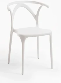 Aniel Stoel