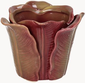 Plantenpot Cabbage