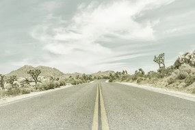 Fotobehang Country Road with Joshua Trees, (128 x 85 cm)