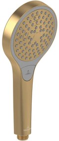 Villeroy & Boch Verve Showers Handdouche met drie waterstraalstanden Rond - Brushed Gold (goud) TVS10900100076