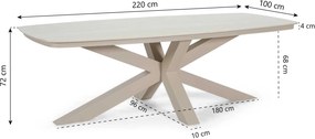 Dining Tuintafel rechthoekig 220x100 cm Zand/Beige Provence low