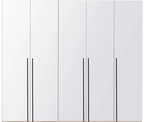 Goossens Kledingkast Easy Storage Ddk, Kledingkast 253 cm breed, 220 cm hoog, 5x glas draaideur