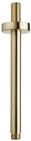 Mueller Gold inbouw regendouche rond met 20cm hoofddouche en plafondarm 20cm messing geborsteld