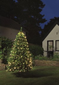Anna's Collection - netverlichting boom - 240 warm witte ledlampjes - geschikt voor een boom van 170-210 cm - met timer